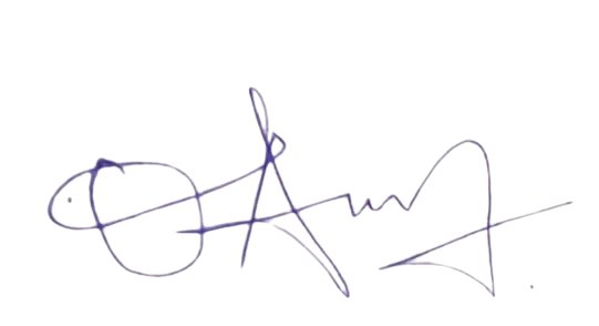 IT Manager Signature